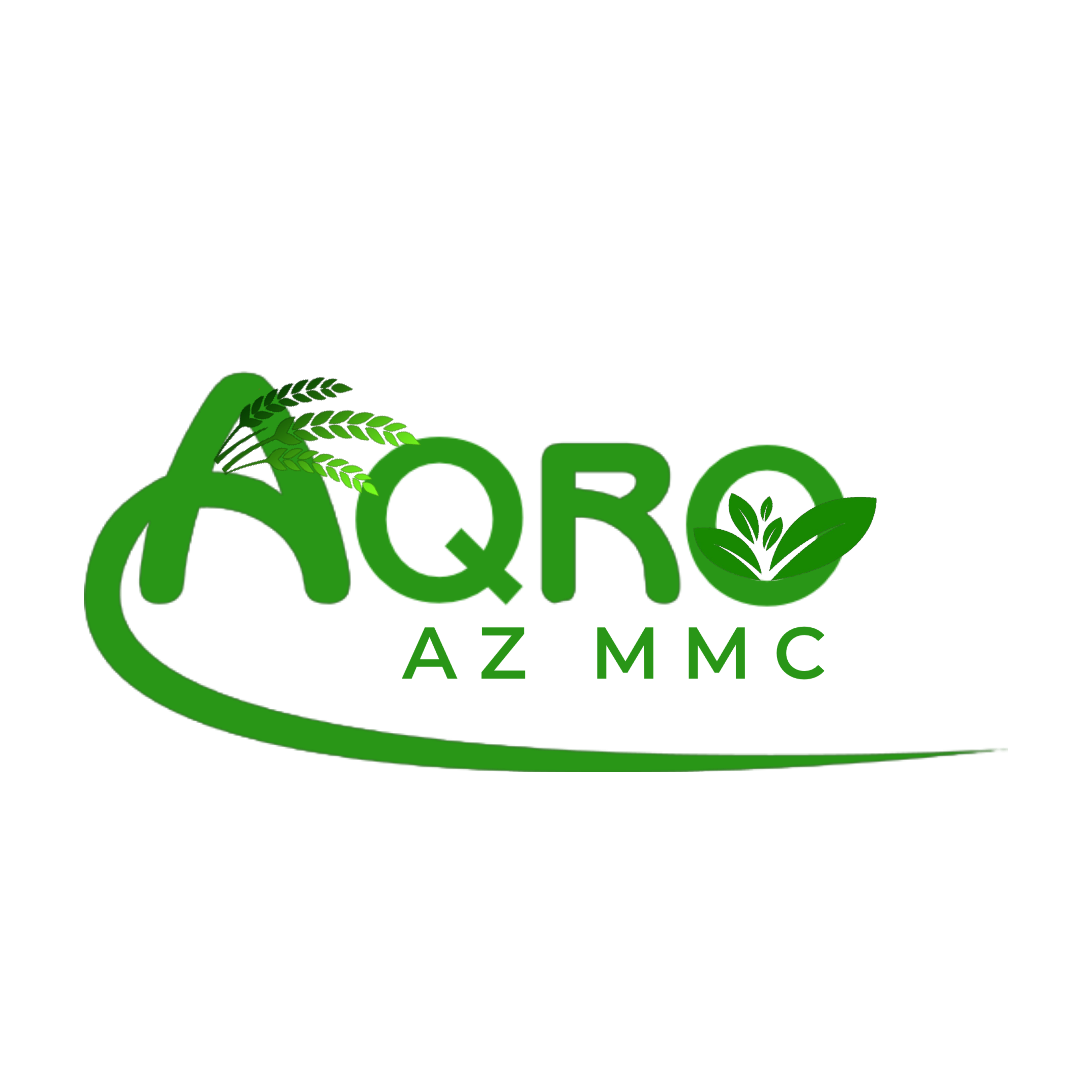 AQROAZ LLC